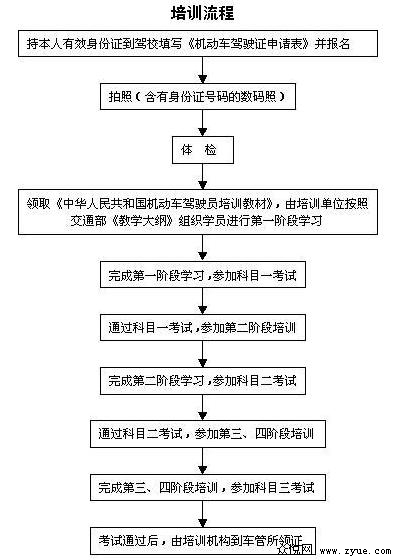 培训流程,学车,烟台