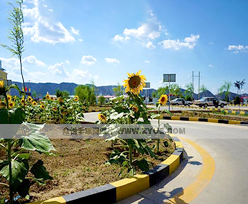 裕华金苹果驾校场地介绍